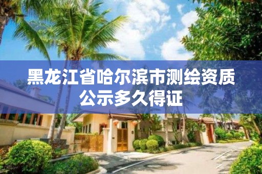 黑龍江省哈爾濱市測繪資質公示多久得證