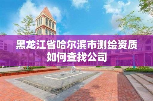 黑龍江省哈爾濱市測繪資質如何查找公司