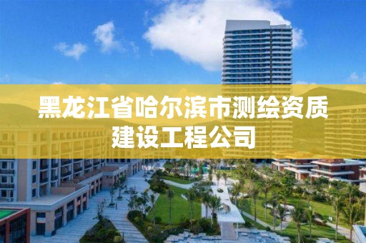 黑龍江省哈爾濱市測繪資質建設工程公司