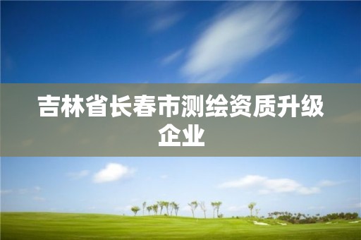 吉林省長春市測繪資質(zhì)升級企業(yè)