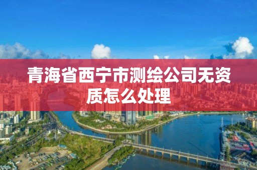 青海省西寧市測繪公司無資質怎么處理