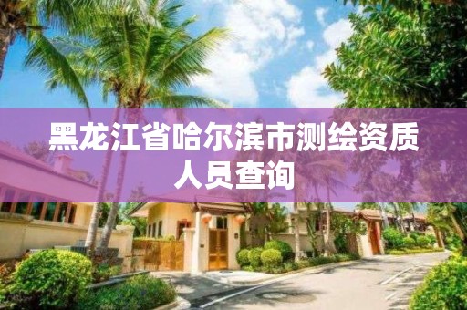 黑龍江省哈爾濱市測繪資質人員查詢