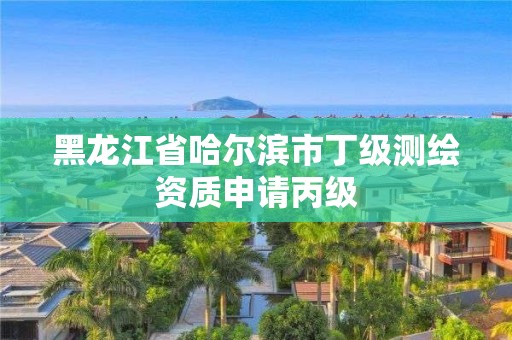 黑龍江省哈爾濱市丁級測繪資質申請丙級