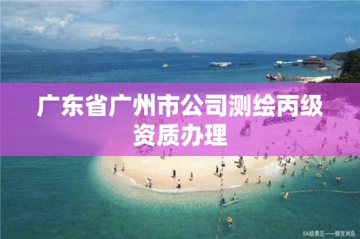 廣東省廣州市公司測繪丙級資質辦理