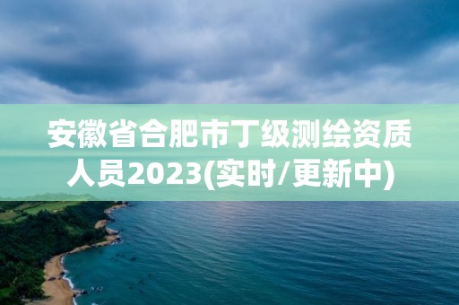 安徽省合肥市丁級測繪資質人員2023(實時/更新中)