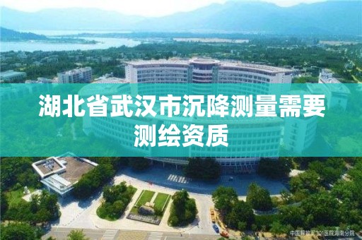 湖北省武漢市沉降測量需要測繪資質