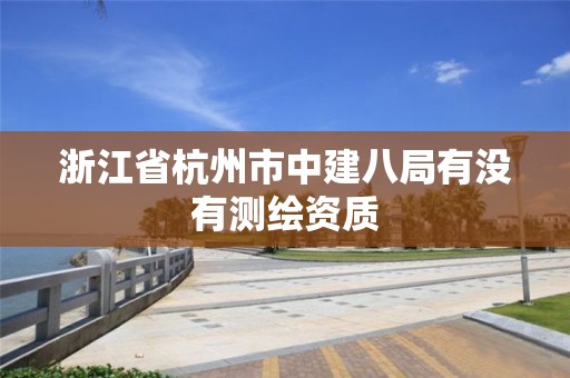 浙江省杭州市中建八局有沒(méi)有測(cè)繪資質(zhì)