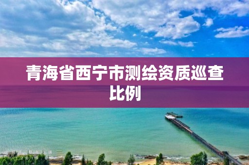 青海省西寧市測繪資質巡查比例