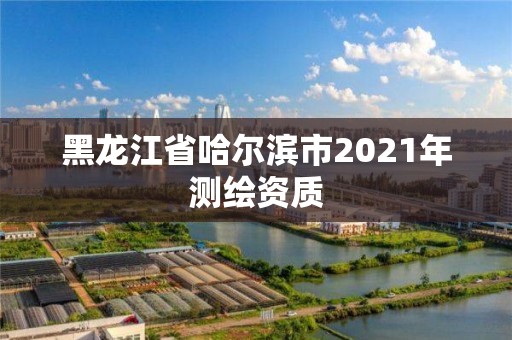 黑龍江省哈爾濱市2021年測繪資質