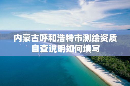 內(nèi)蒙古呼和浩特市測繪資質(zhì)自查說明如何填寫