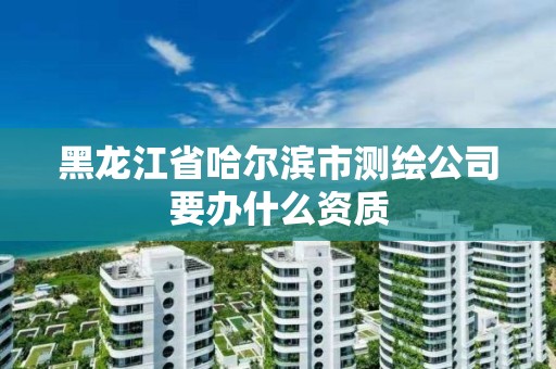 黑龍江省哈爾濱市測繪公司要辦什么資質