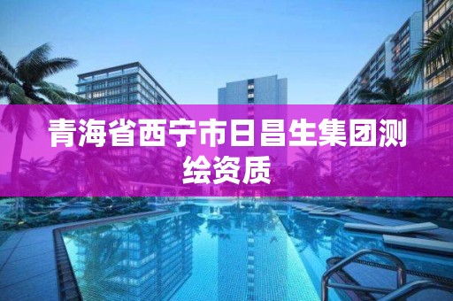 青海省西寧市日昌生集團測繪資質