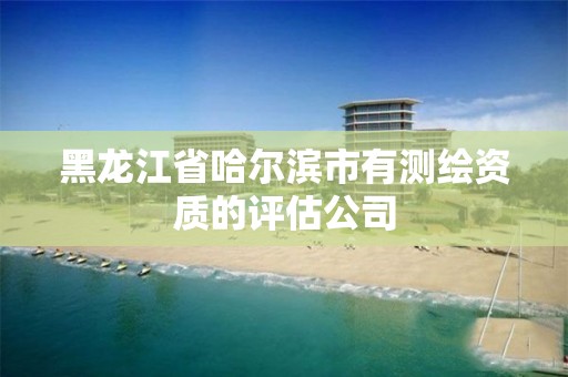 黑龍江省哈爾濱市有測繪資質的評估公司