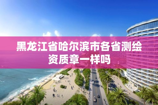 黑龍江省哈爾濱市各省測繪資質章一樣嗎