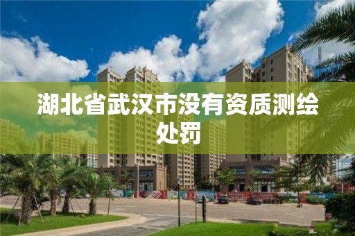 湖北省武漢市沒有資質測繪處罰