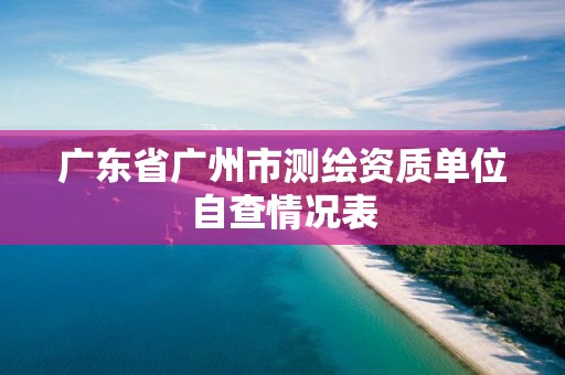 廣東省廣州市測繪資質單位自查情況表