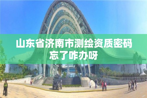 山東省濟南市測繪資質密碼忘了咋辦呀