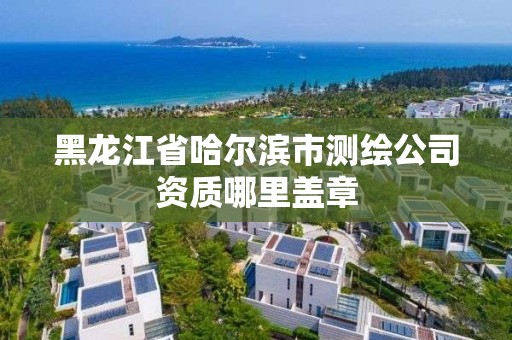 黑龍江省哈爾濱市測繪公司資質哪里蓋章