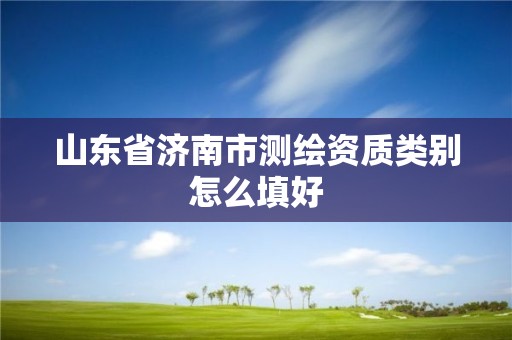 山東省濟南市測繪資質類別怎么填好