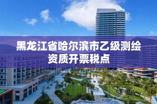 黑龍江省哈爾濱市乙級測繪資質開票稅點