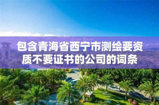 包含青海省西寧市測繪要資質不要證書的公司的詞條