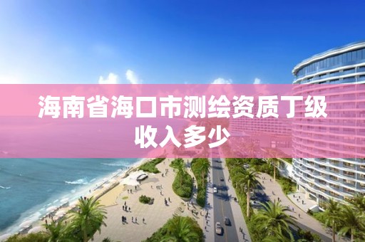 海南省海口市測(cè)繪資質(zhì)丁級(jí)收入多少