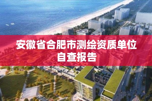 安徽省合肥市測繪資質單位自查報告