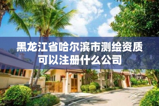 黑龍江省哈爾濱市測繪資質可以注冊什么公司