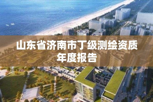 山東省濟南市丁級測繪資質年度報告