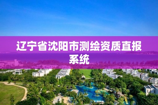 遼寧省沈陽市測繪資質直報系統