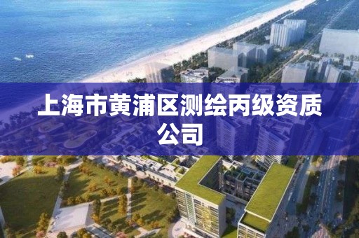 上海市黃浦區(qū)測繪丙級資質(zhì)公司