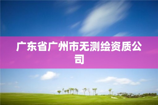 廣東省廣州市無測繪資質公司