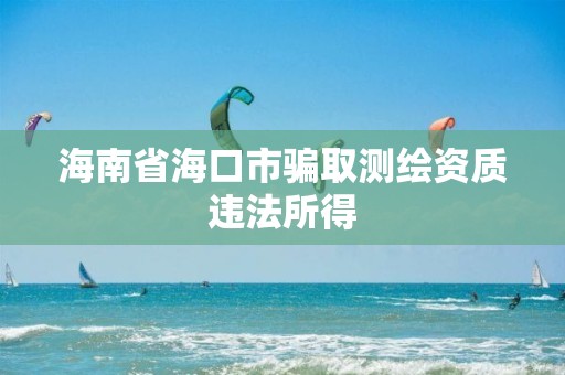 海南省海口市騙取測繪資質(zhì)違法所得