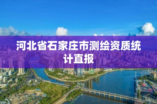 河北省石家莊市測繪資質統計直報