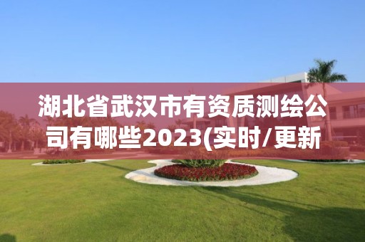 湖北省武漢市有資質(zhì)測(cè)繪公司有哪些2023(實(shí)時(shí)/更新中)