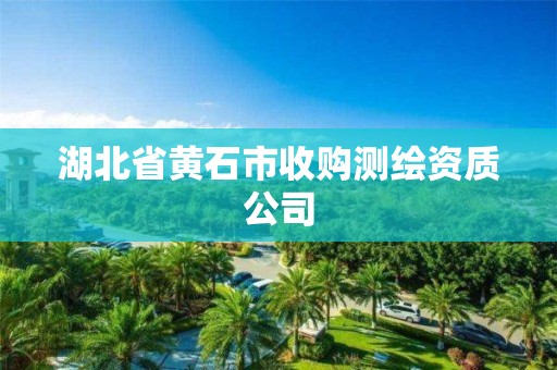 湖北省黃石市收購測繪資質(zhì)公司