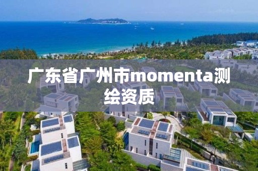 廣東省廣州市momenta測繪資質