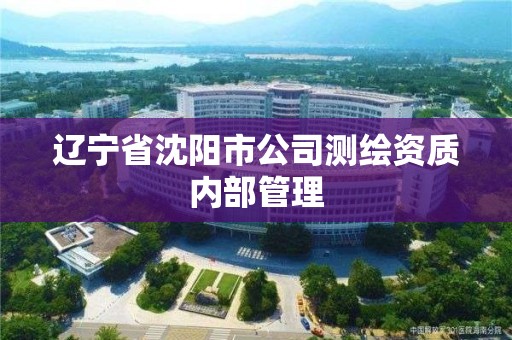 遼寧省沈陽市公司測繪資質內部管理