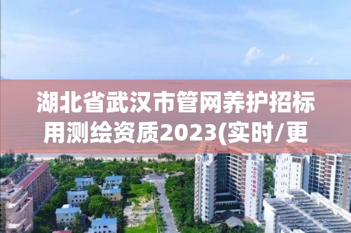 湖北省武漢市管網養護招標用測繪資質2023(實時/更新中)