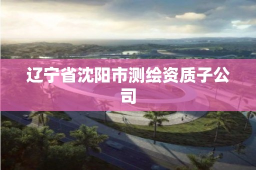 遼寧省沈陽市測繪資質子公司