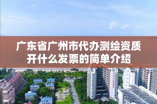 廣東省廣州市代辦測繪資質開什么發票的簡單介紹