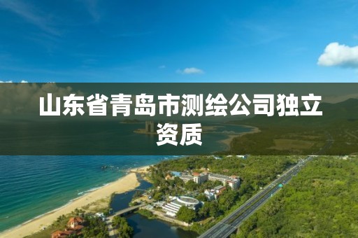 山東省青島市測繪公司獨立資質