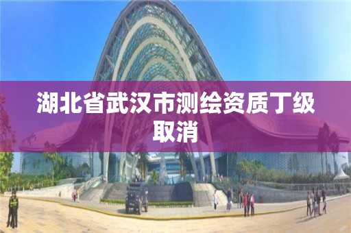 湖北省武漢市測繪資質丁級取消