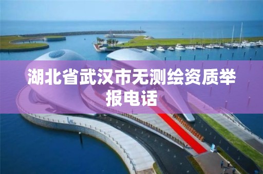 湖北省武漢市無測繪資質舉報電話