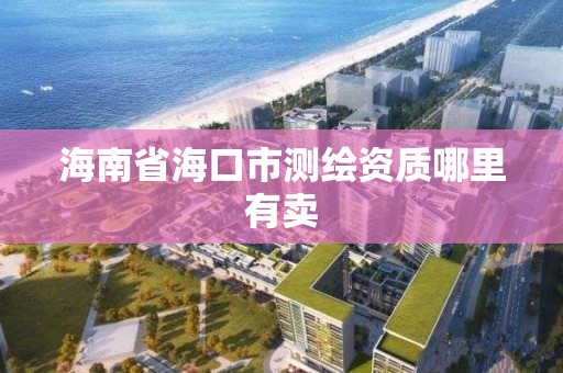 海南省海口市測繪資質哪里有賣