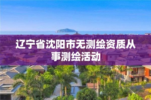 遼寧省沈陽市無測繪資質從事測繪活動