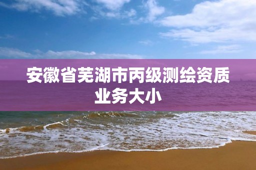 安徽省蕪湖市丙級(jí)測(cè)繪資質(zhì)業(yè)務(wù)大小