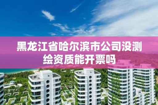 黑龍江省哈爾濱市公司沒測繪資質能開票嗎