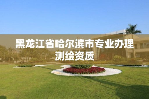 黑龍江省哈爾濱市專業辦理測繪資質