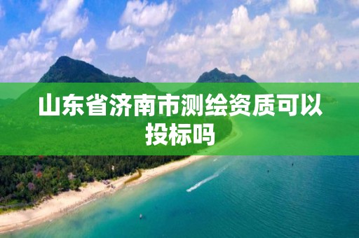 山東省濟南市測繪資質可以投標嗎